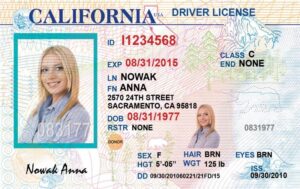 Kategorie prawa jazdy w USA – co warto wiedzieć?