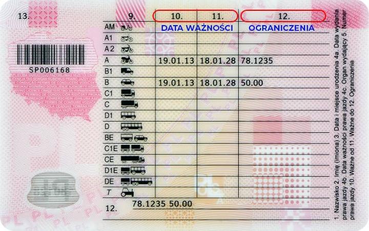 Prawo jazdy weryfikacja wyniku